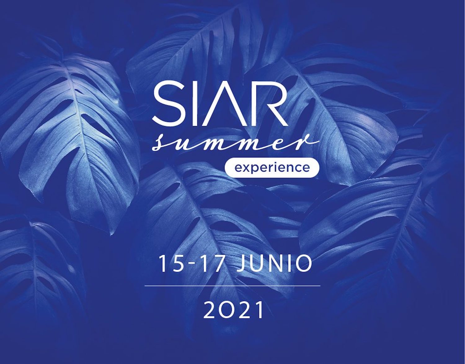 SIAR Summer Experience 2021